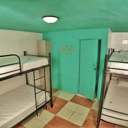 Blue Iguana Hotel ซามารา ภายนอก รูปภาพ