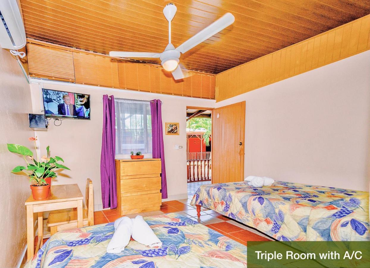 Blue Iguana Hotel ซามารา ภายนอก รูปภาพ