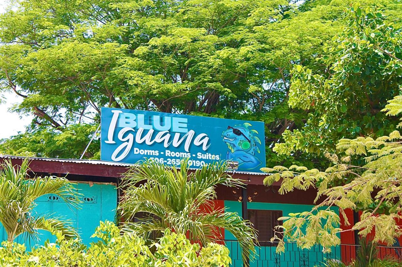Blue Iguana Hotel ซามารา ภายนอก รูปภาพ