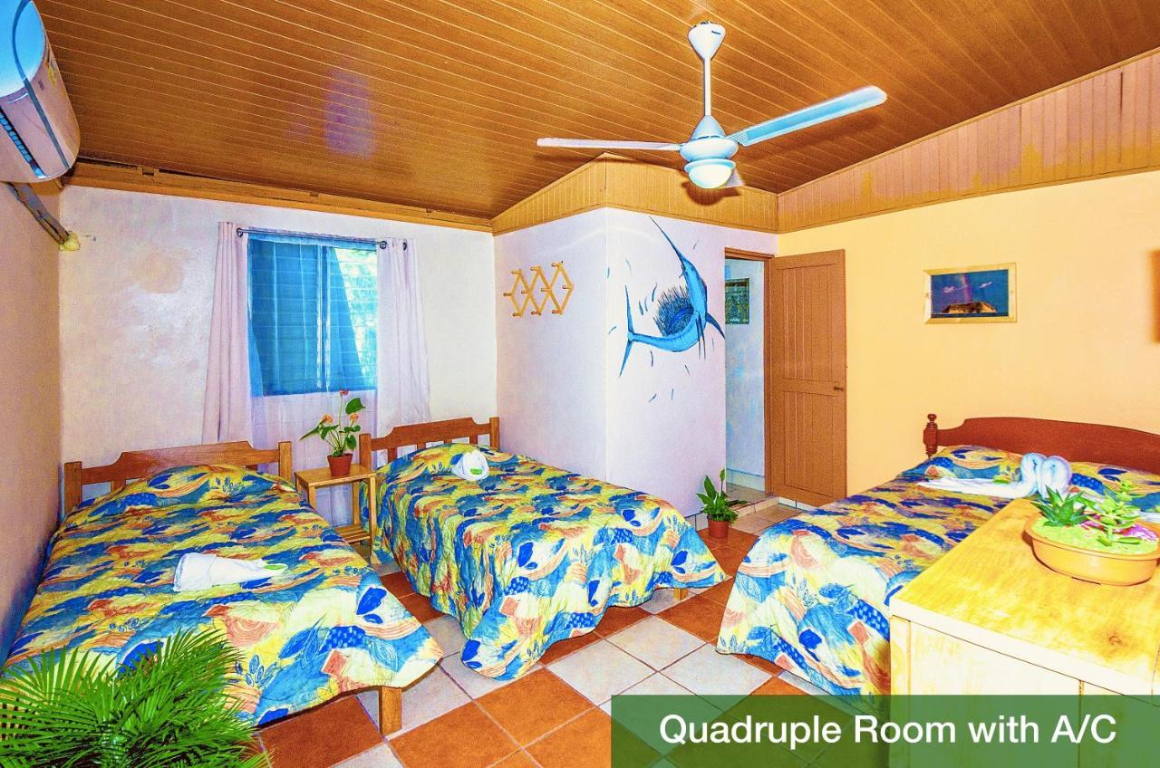 Blue Iguana Hotel ซามารา ภายนอก รูปภาพ