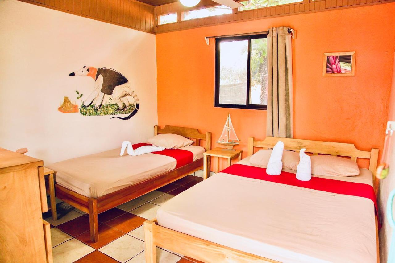 Blue Iguana Hotel ซามารา ภายนอก รูปภาพ