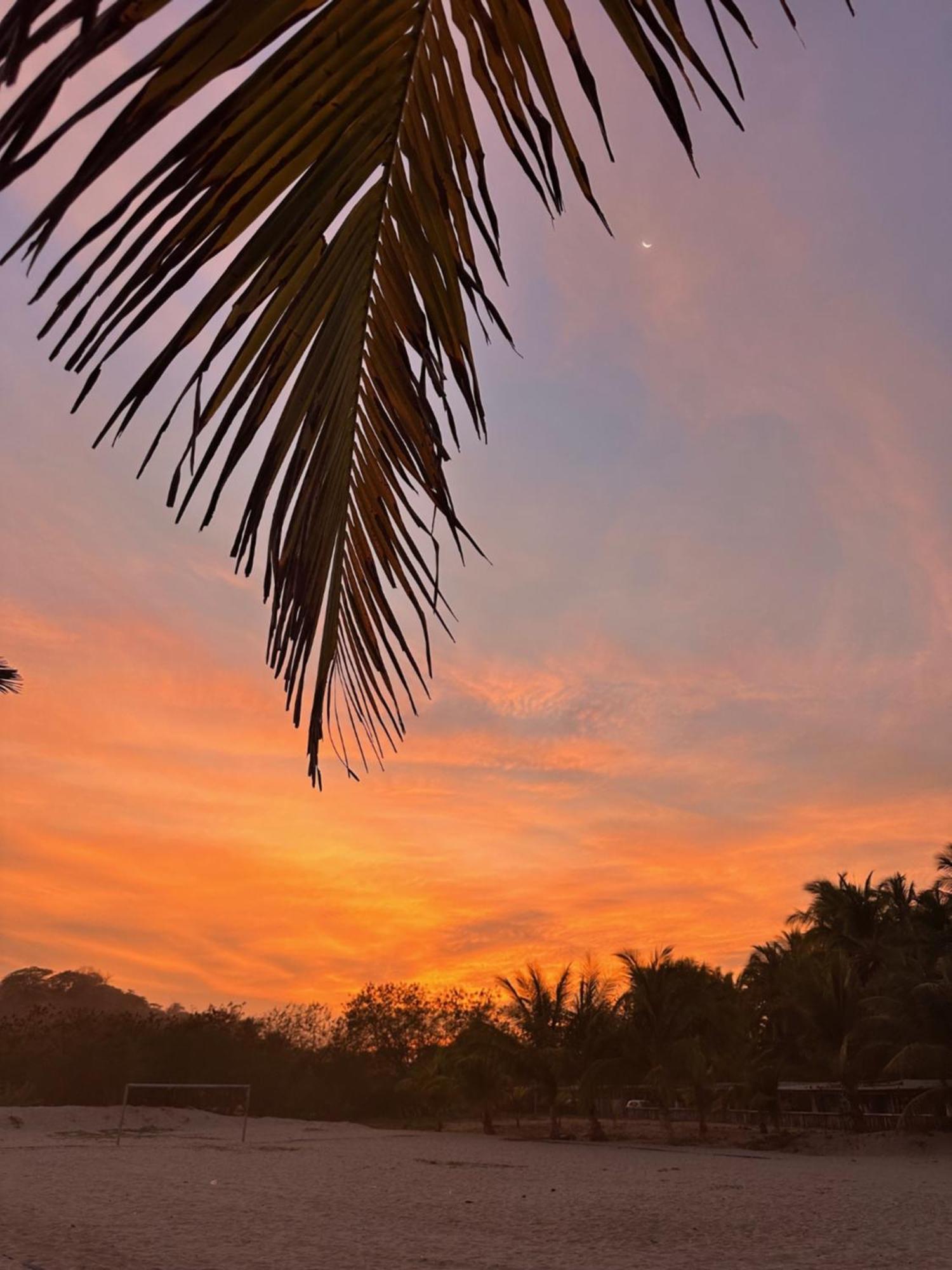 Blue Iguana Hotel ซามารา ภายนอก รูปภาพ